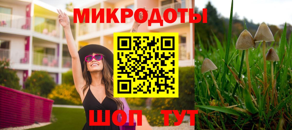 Протвино  Галлюциногенные грибы Cubensis  Вход с VPN 